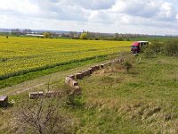 Bild300417-04  Ein schöner Standort zur Frühjahrsentwicklung mit Raps-, Löwenzahn- und Obstblüte.